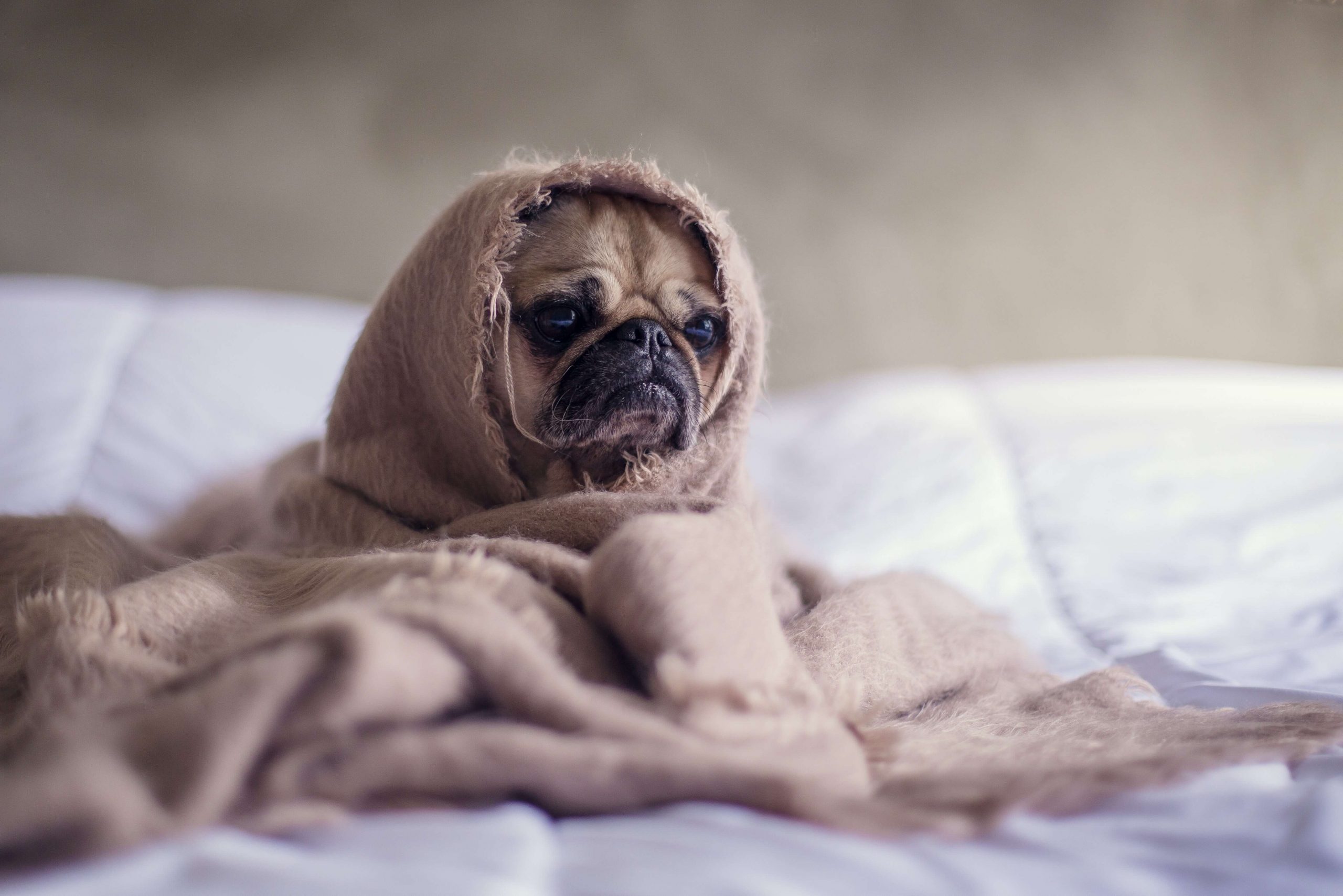 Despertarse en madrugada