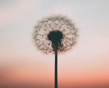 ¿Sufres del síndrome de Burnout?