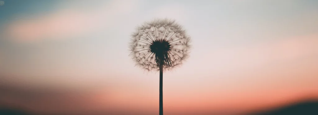 ¿Sufres del síndrome de Burnout?