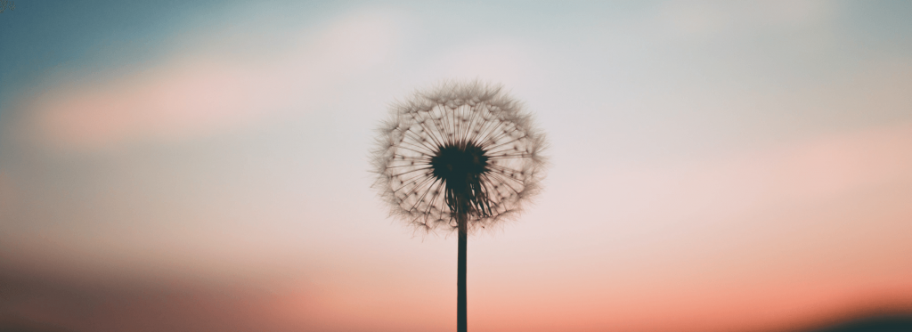 Meditación para cerrar y abrir ciclos