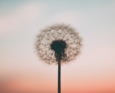 Meditación para cerrar y abrir ciclos
