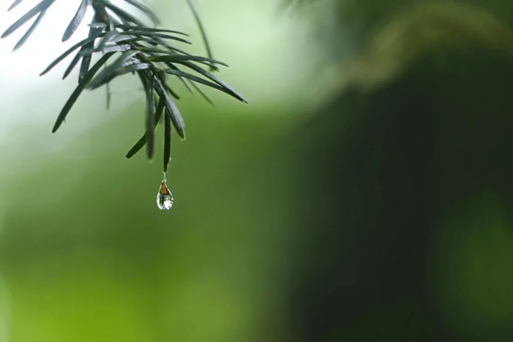 Meditar para mejorar tu concentración