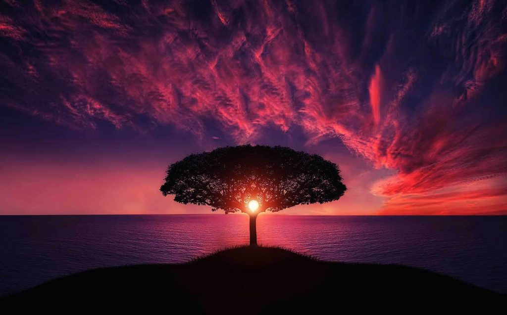 mindfulness para los traumas